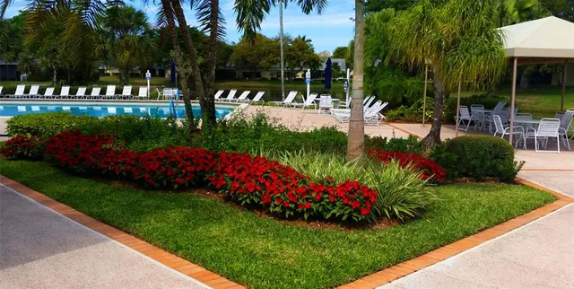 a view of a garden with palm trees