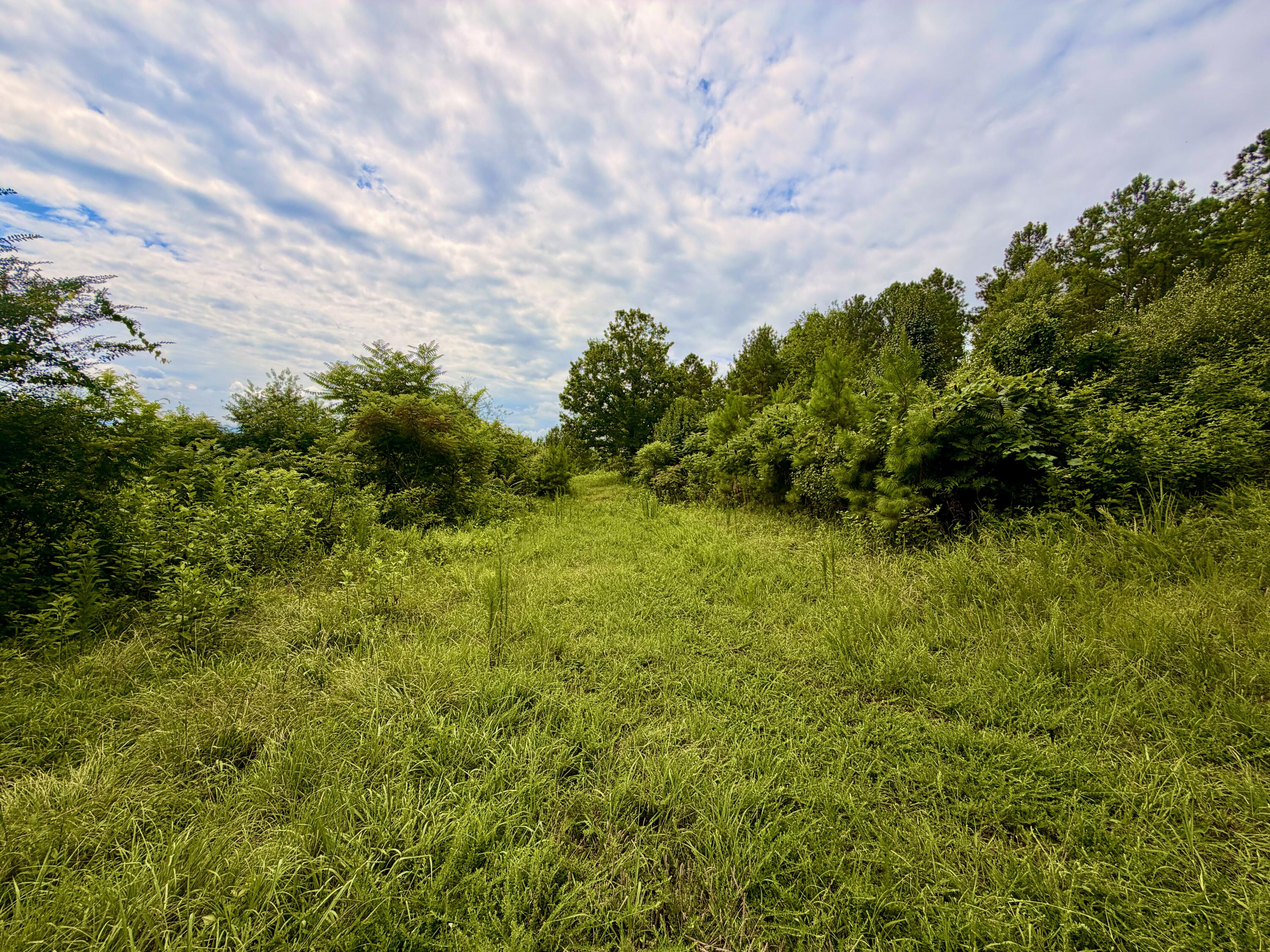 847 Eads Bluff Road Northwest Georgetown, TN 37336 - Photo 27 of 37 9EF9C1FE-01BC-4A1F-876E-5CC4E5F31AC2_1_2