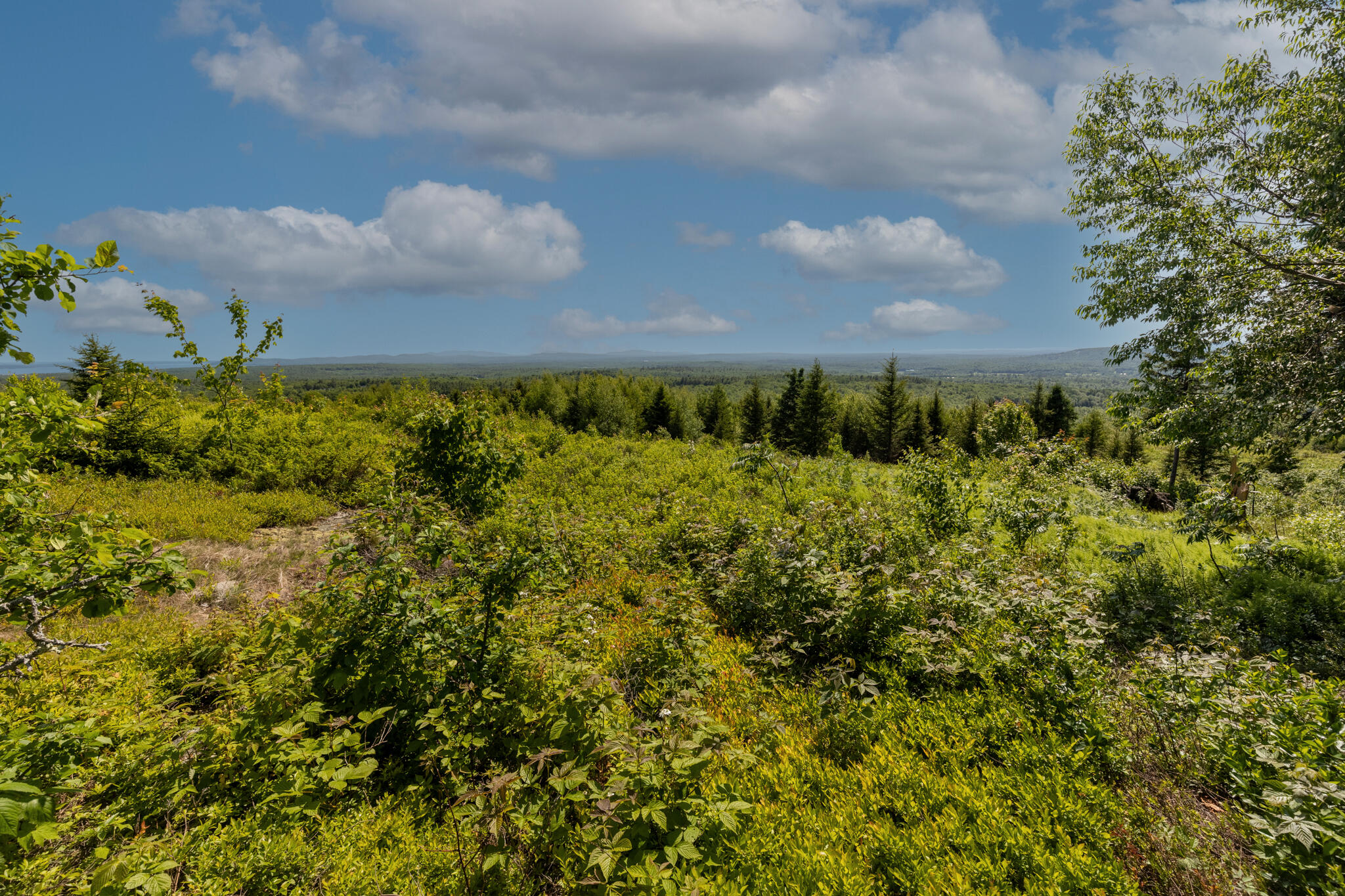 533 Mt Ephraim Road Searsport, ME 04974 - Photo 51 of 70