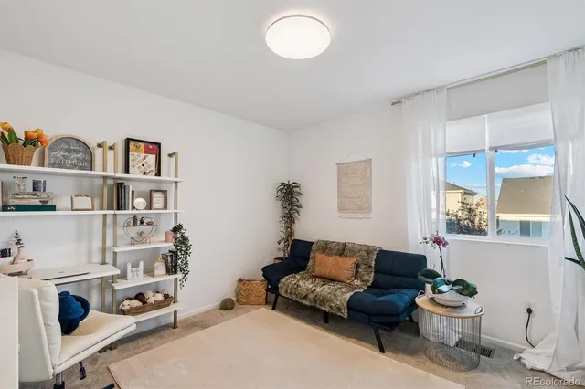 a living room with furniture a rug and a book shelf