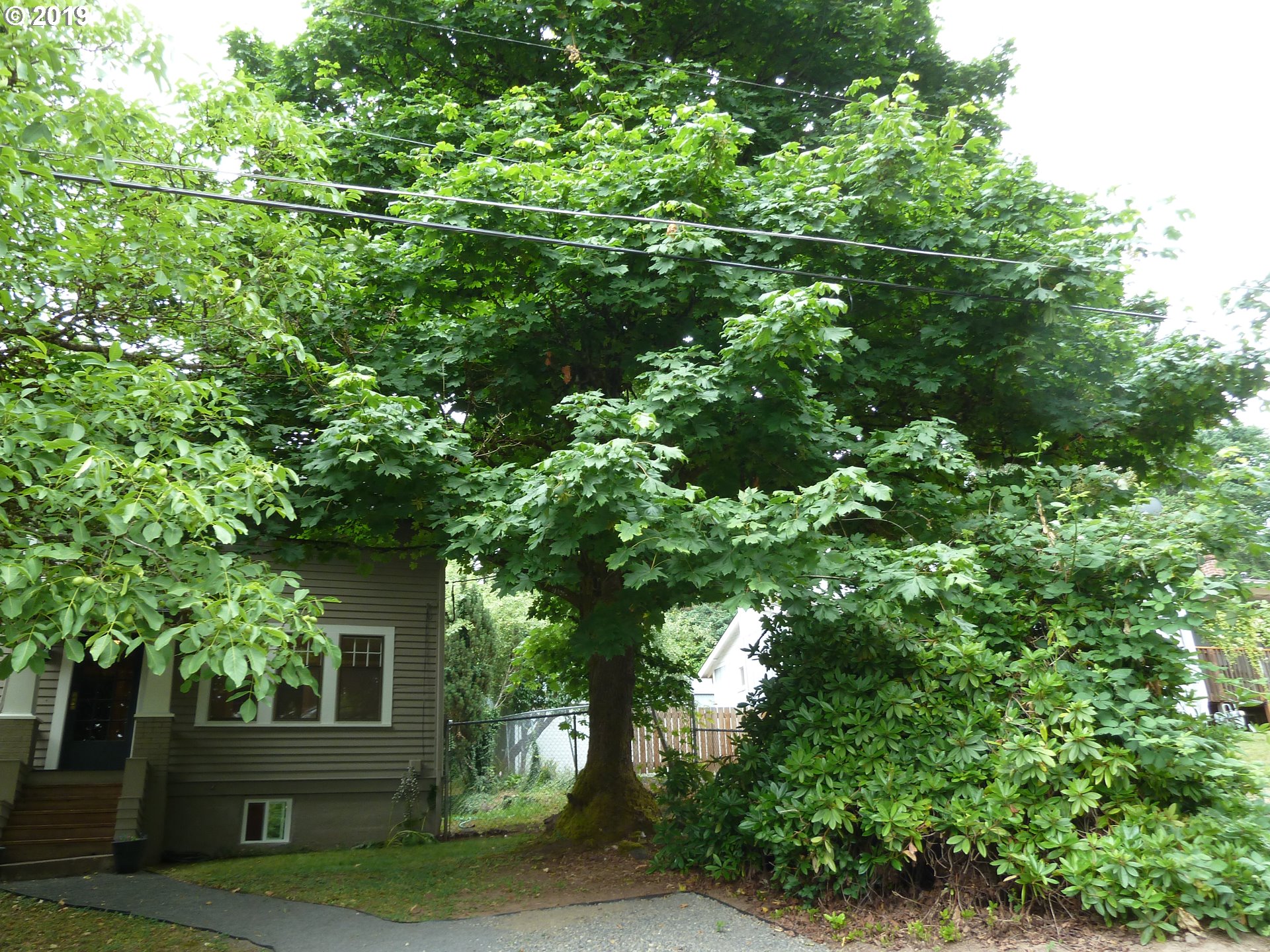 4150 Southwest Carson Street Portland, OR 97219 - Photo 24 of 31 Gallery Image 24