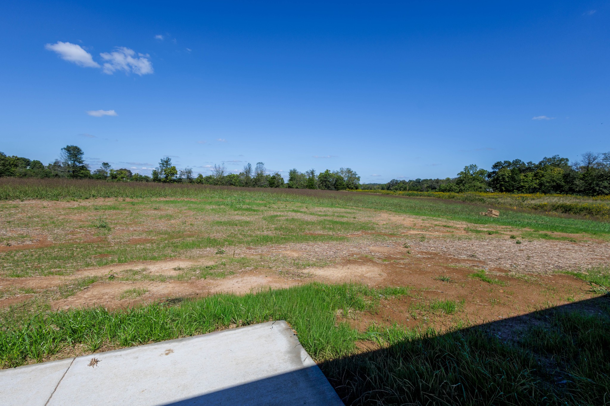 6261 Piney River Road Dickson, TN 37055 - Photo 15 of 32