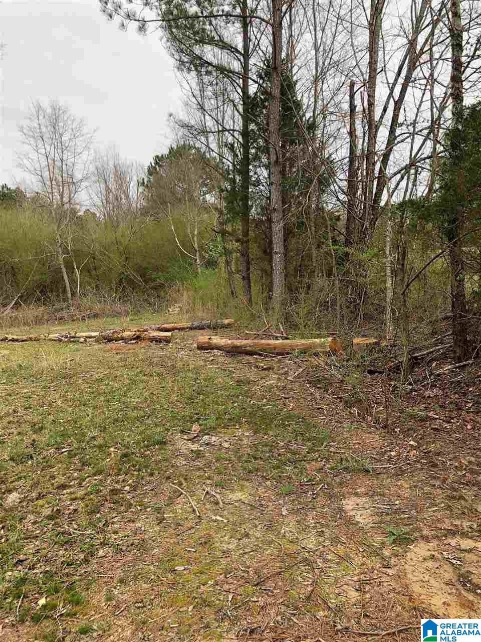 323 Yellow Hammer Road Blountsville, AL 35031 - Photo 3 of 9