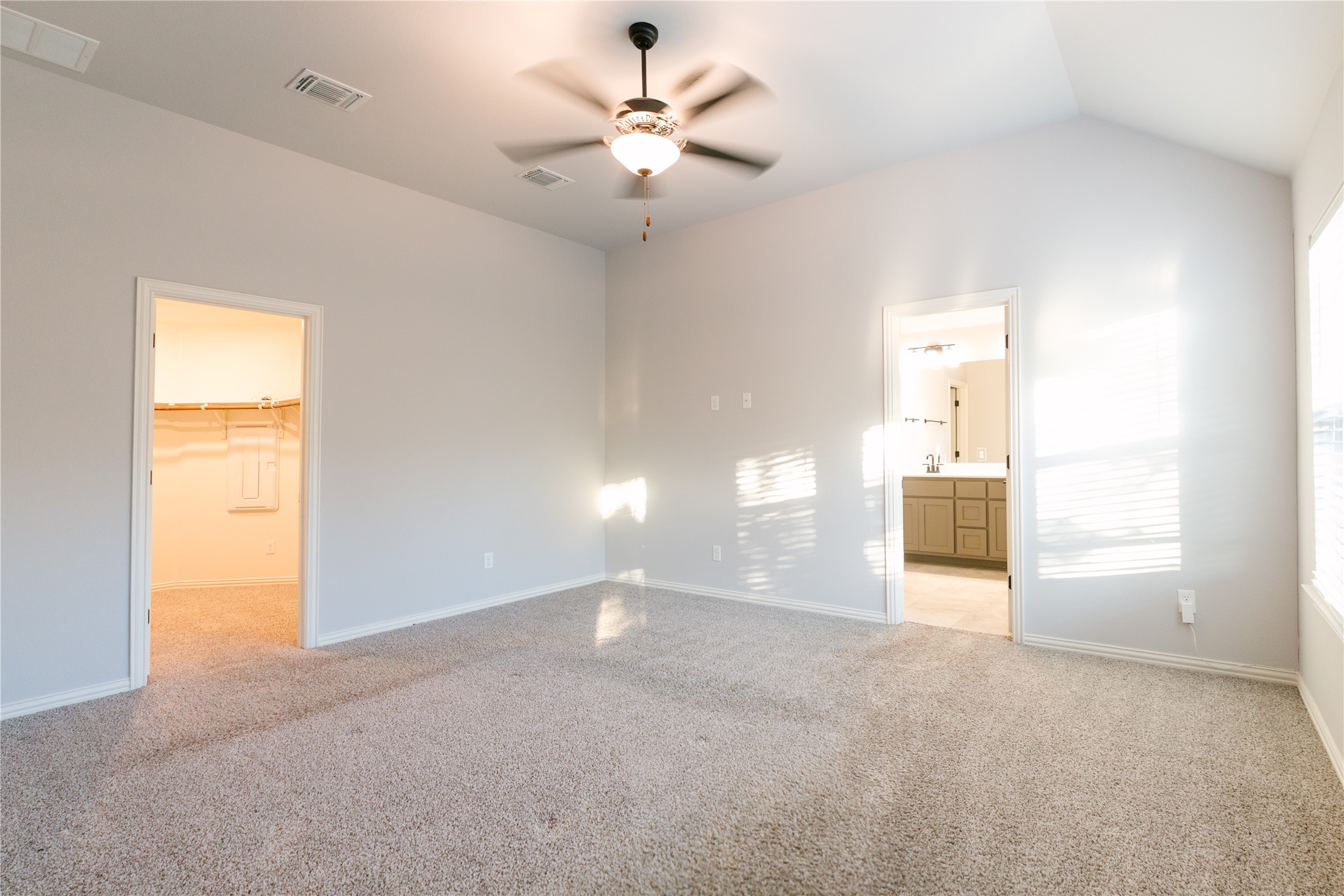 426 Cold Riv Run Kyle, TX 78640 - Photo 8 of 24 Primary bed room featuring ample natural light, vaulted ceiling, walk-in closet, and ensuite bathroom