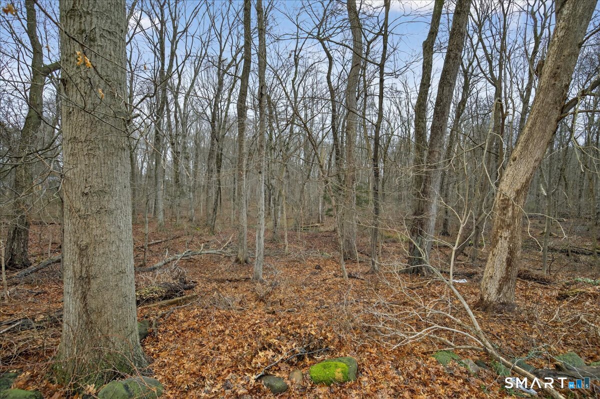 35 Barrett Street Hamden, CT 06517 - Photo 40 of 41