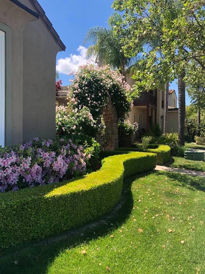 1949 St Andrews Circle, Unit CL Gilroy, CA 95020 - Photo 21 of 21 a view of a garden with plants and large trees