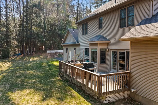 a view of a park with large trees