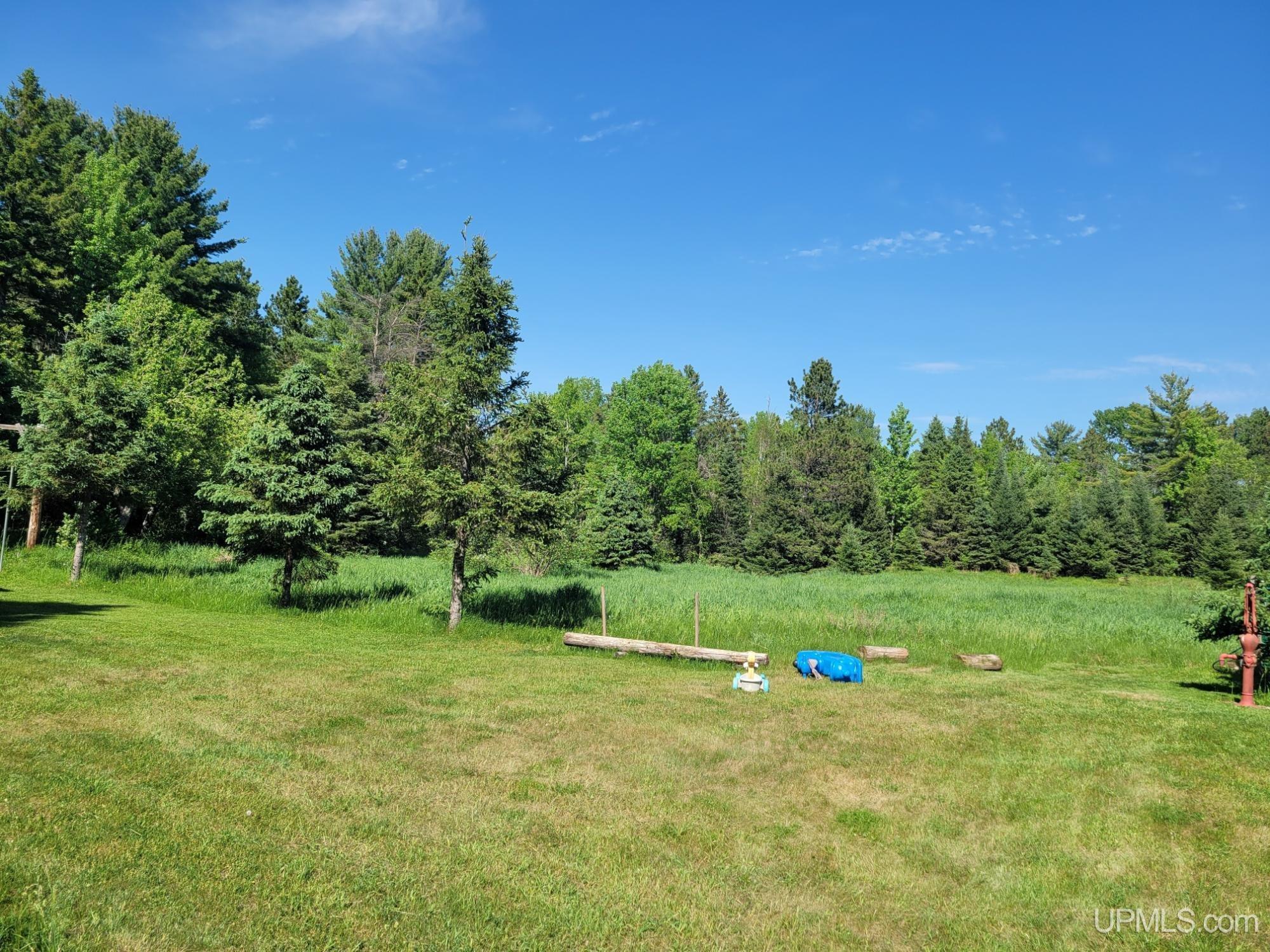 On Metos Road Trout Creek, MI 49967 - Photo 3 of 6