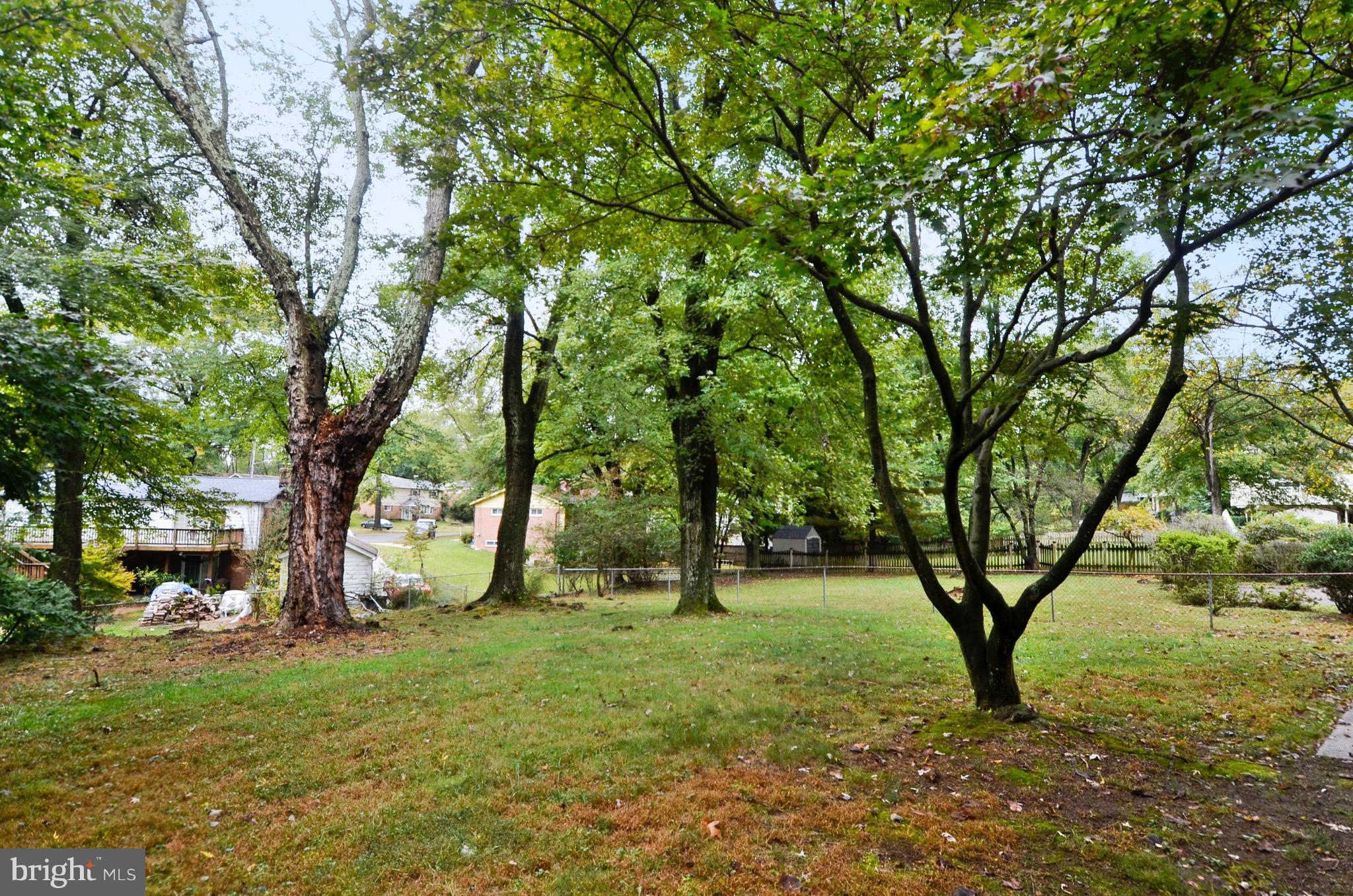 510 Waterford Road Silver Spring, MD 20901 - Photo 26 of 30 a view of outdoor space with deck and tree