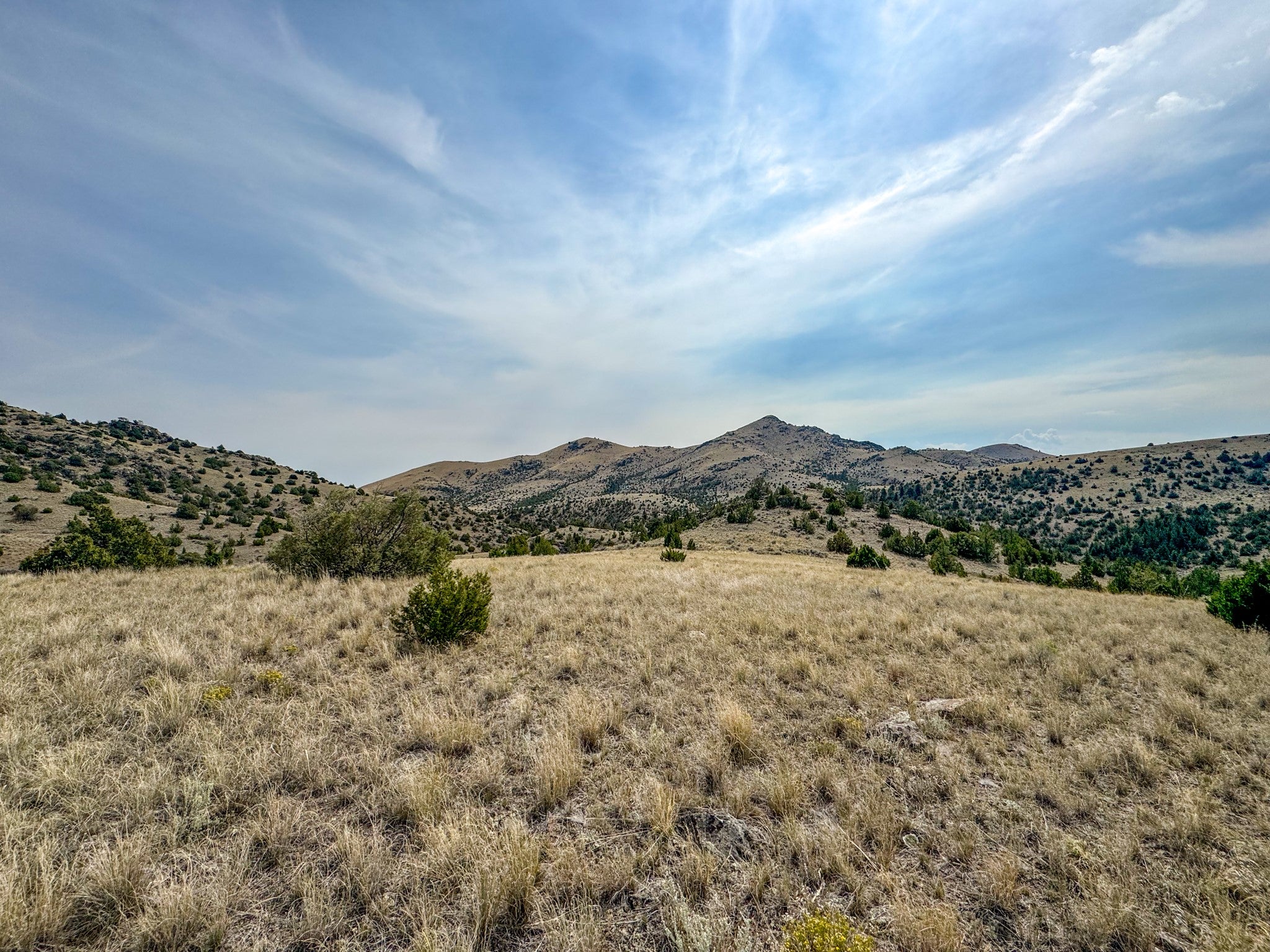 Tbd Tbd Johnny Gulch Road Toston, MT 59643 - Photo 25 of 48 Gallery Image 25