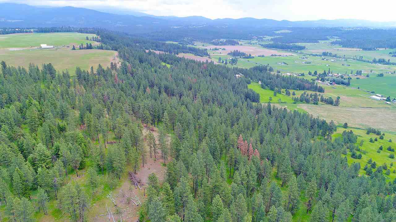 Lot H Big Meadows Road Chattaroy, WA 99003 - Photo 11 of 20