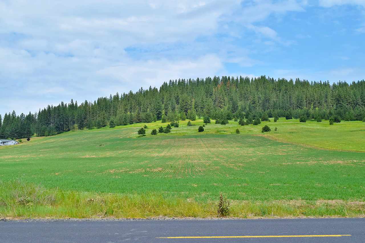 Lot H Big Meadows Road Chattaroy, WA 99003 - Photo 15 of 20