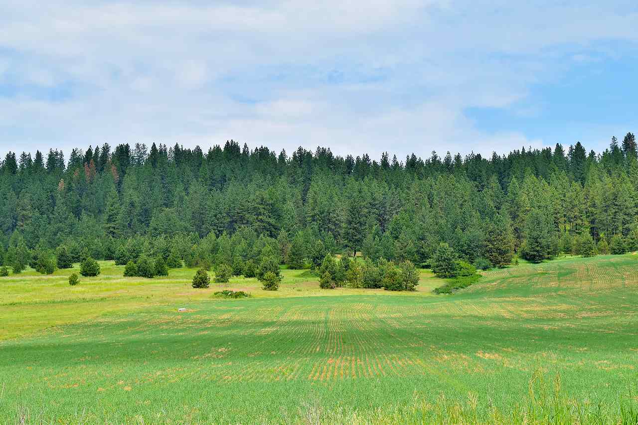 Lot H Big Meadows Road Chattaroy, WA 99003 - Photo 18 of 20