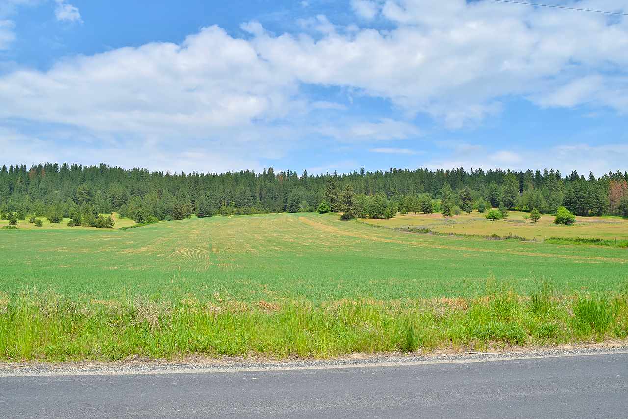 Lot H Big Meadows Road Chattaroy, WA 99003 - Photo 19 of 20