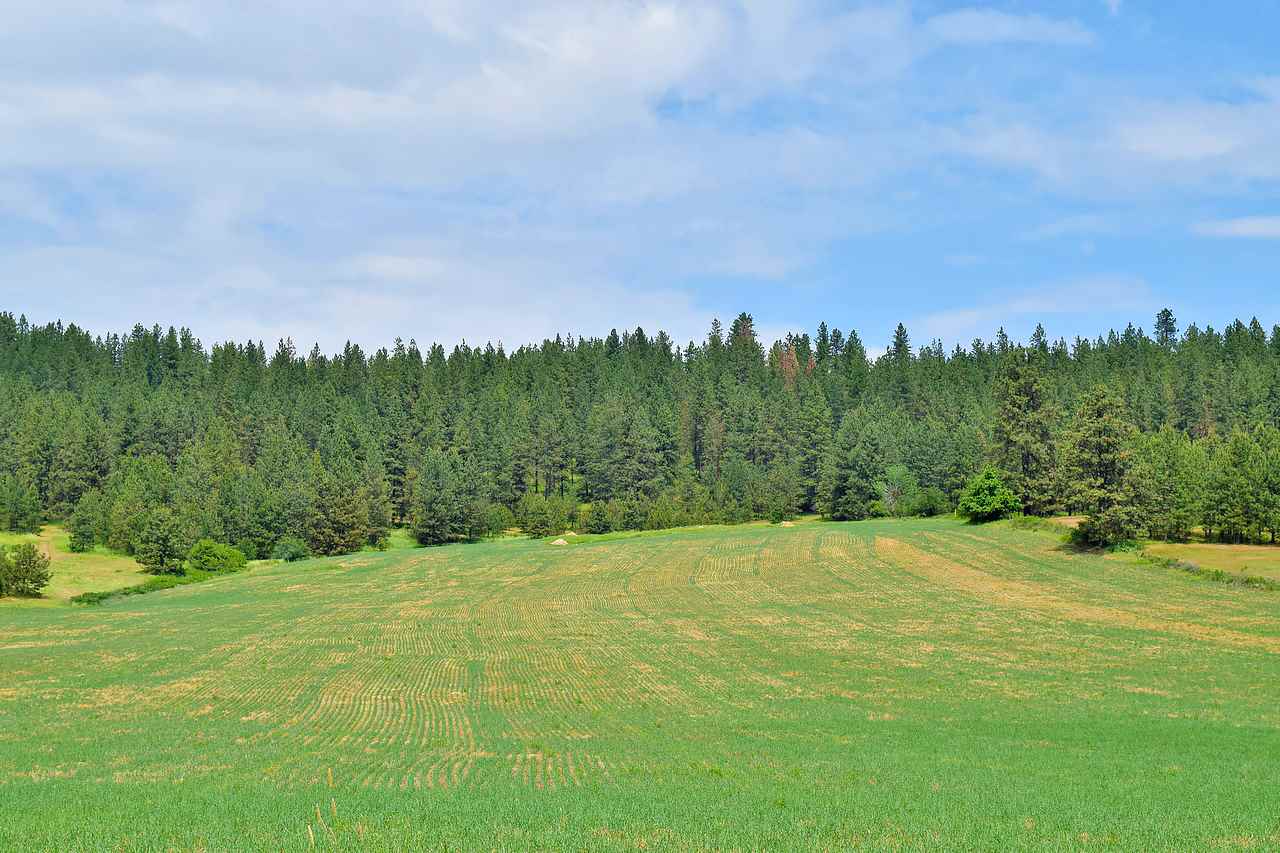 Lot H Big Meadows Road Chattaroy, WA 99003 - Photo 20 of 20