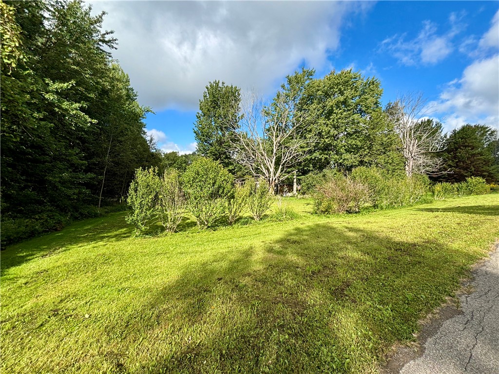 7601 Reeds Corners Road Sparta, NY 14437 - Photo 20 of 25 Gallery Image 20