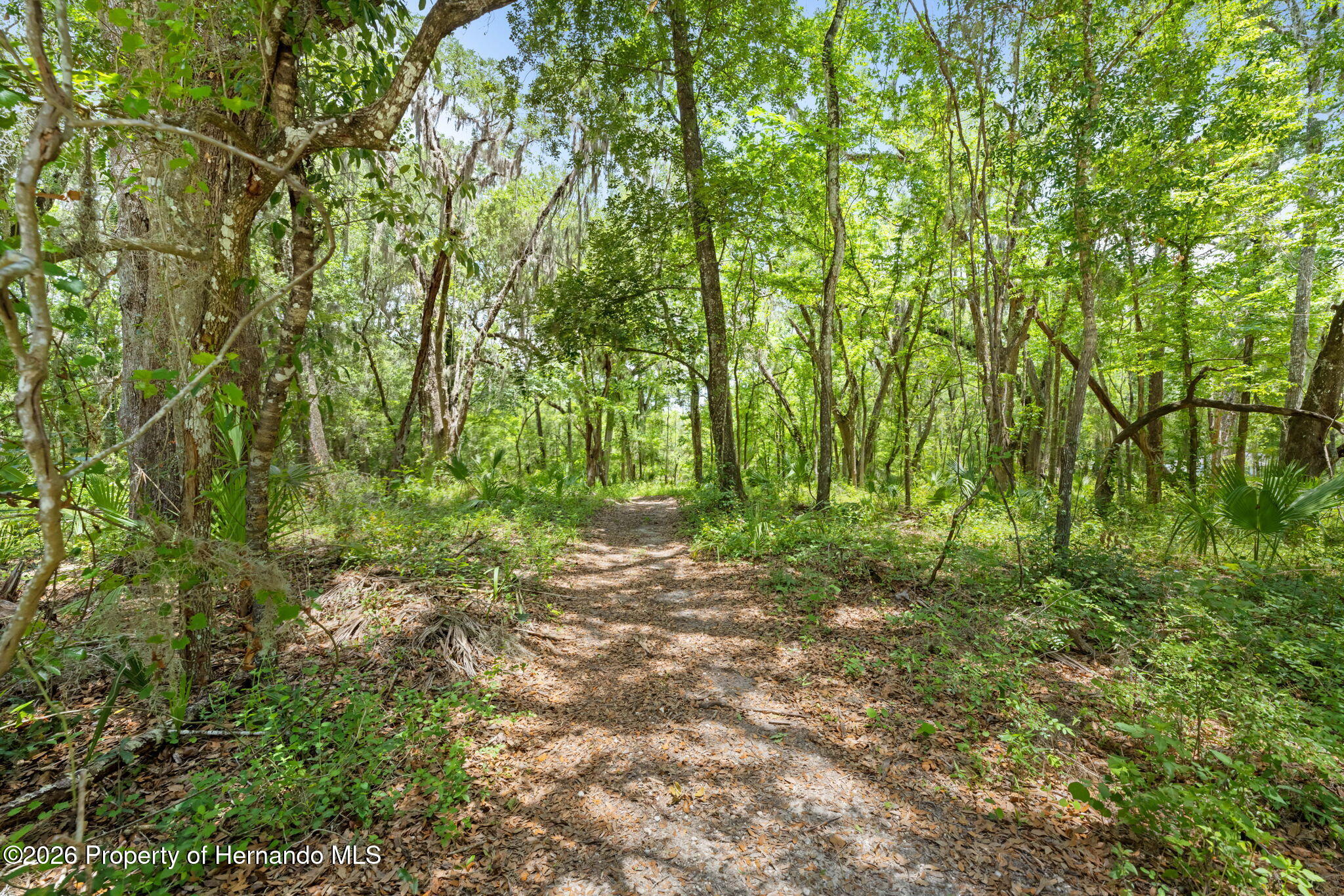 0 Ricebird Avenue Weeki Wachee, FL 34614 - Photo 19 of 26