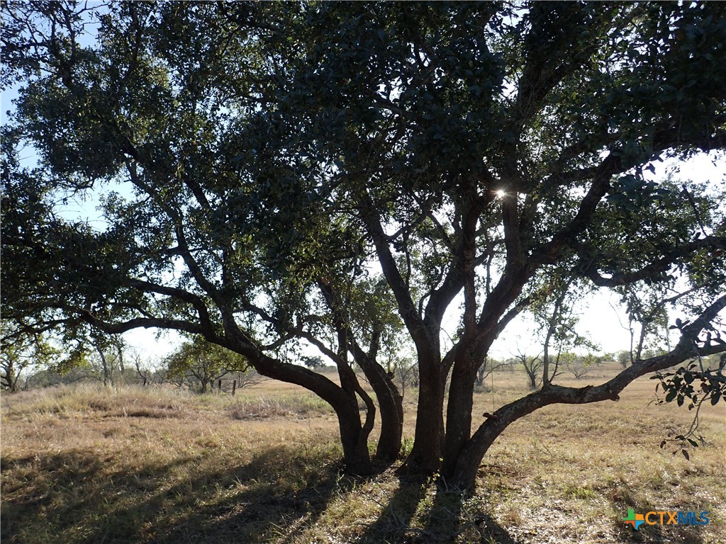 1250 Chalk Road Harwood, TX 78632 - Photo 1 of 1 Gallery Image 1