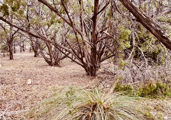 a view of snow on the road