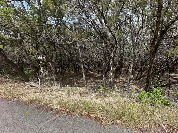 a view of a yard with plants and trees