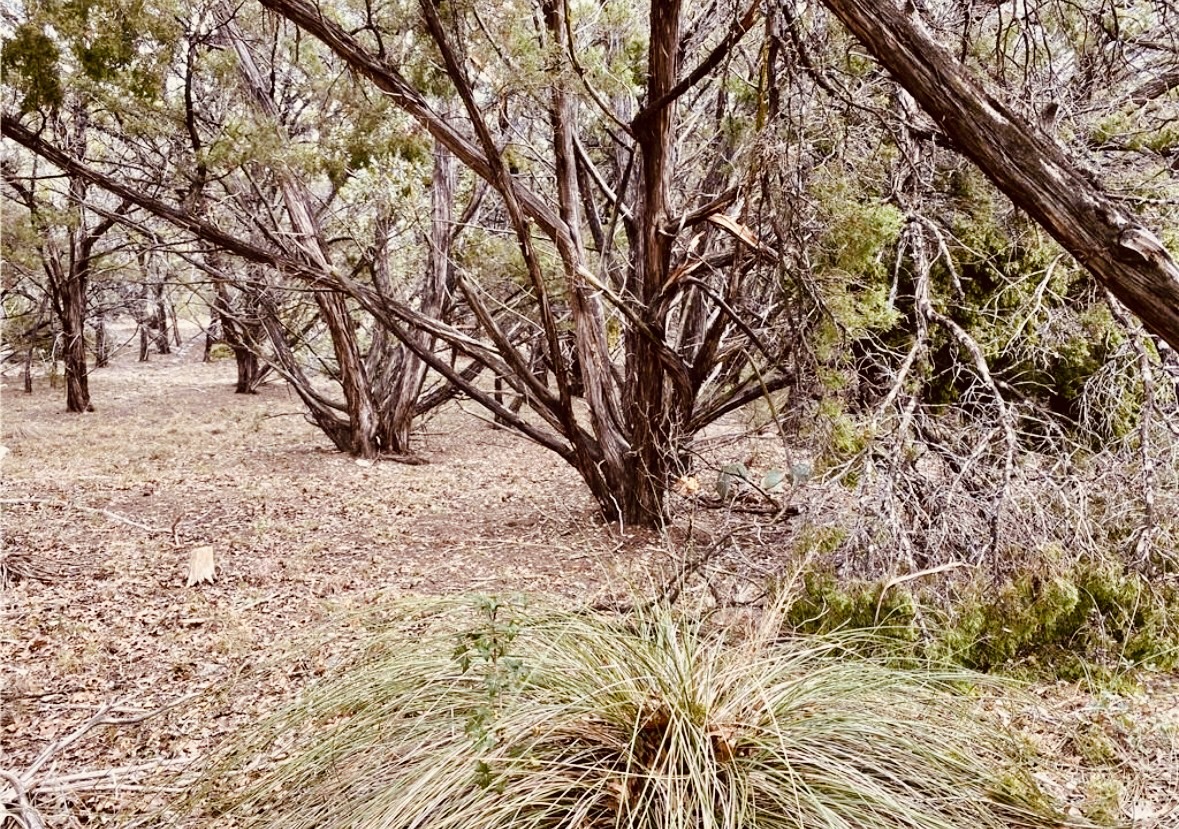 8300 Chestnut Cove Leander, TX 78645 - Photo 2 of 10 a view of snow on the road