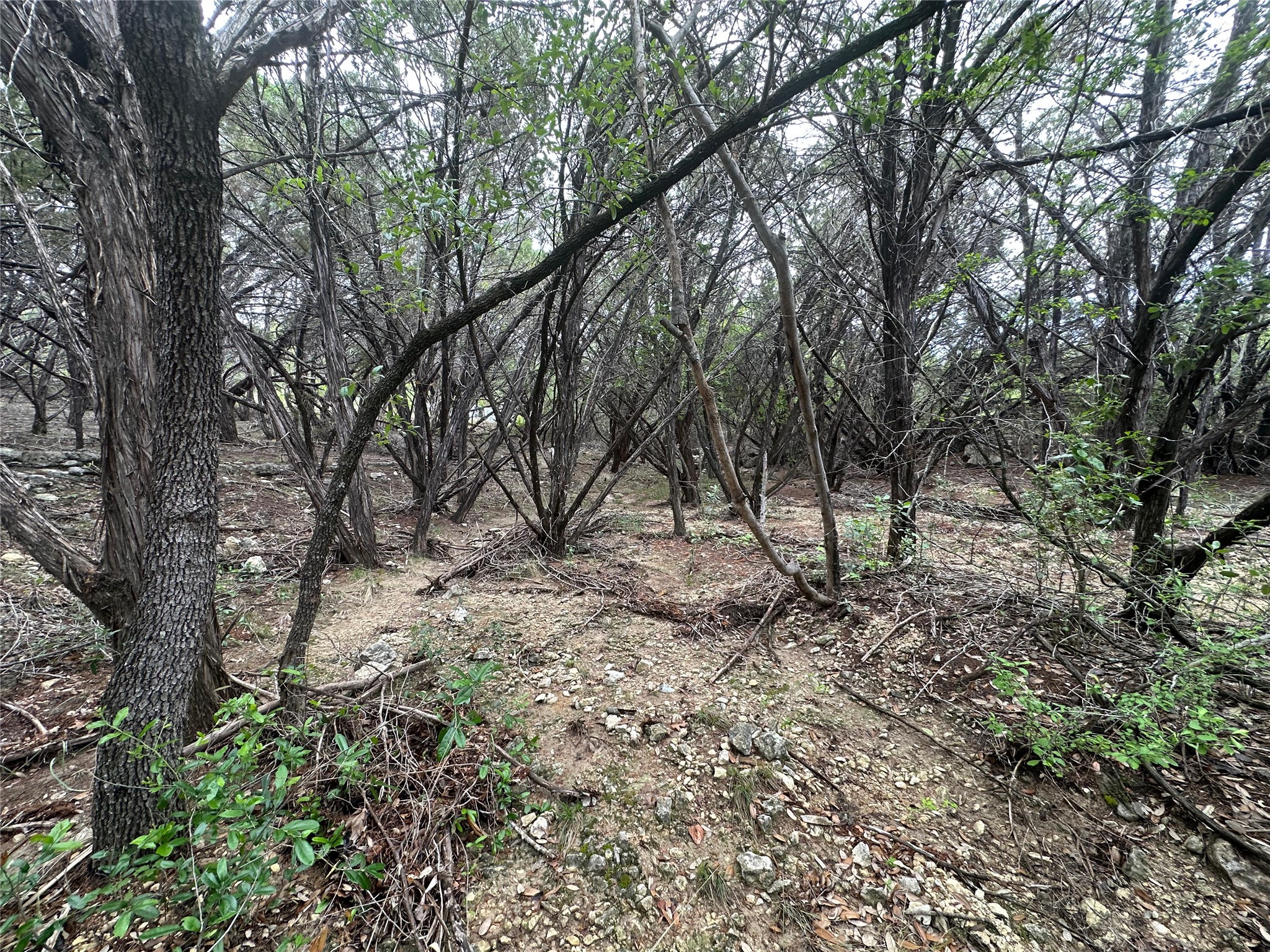 8300 Chestnut Cove Leander, TX 78645 - Photo 5 of 10