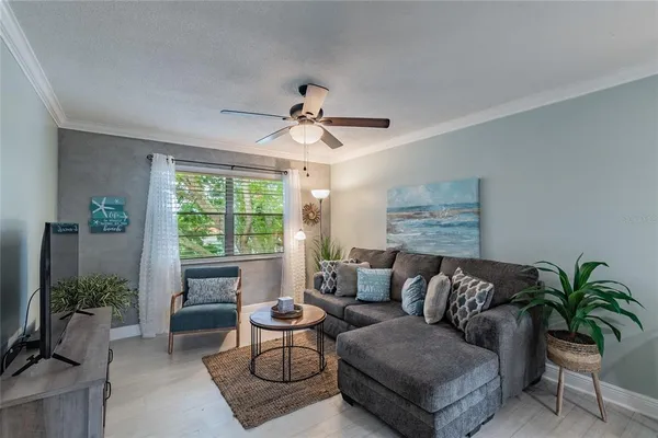 a living room with furniture potted plant and a window