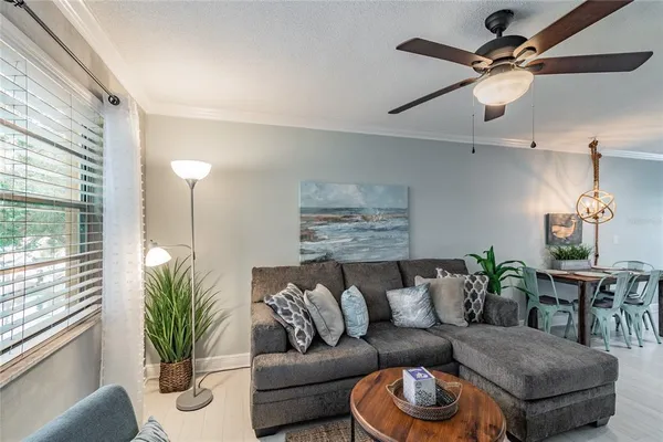 a living room with furniture potted plant and a window