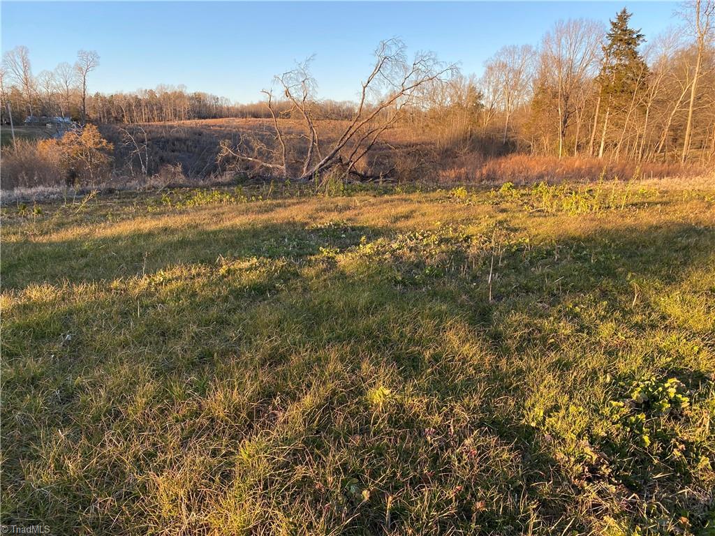 0 Trinity Church Road Seagrove, NC 27341 - Photo 2 of 20