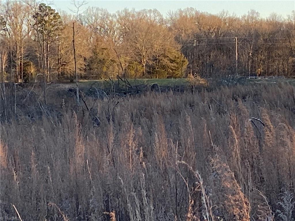 0 Trinity Church Road Seagrove, NC 27341 - Photo 11 of 20