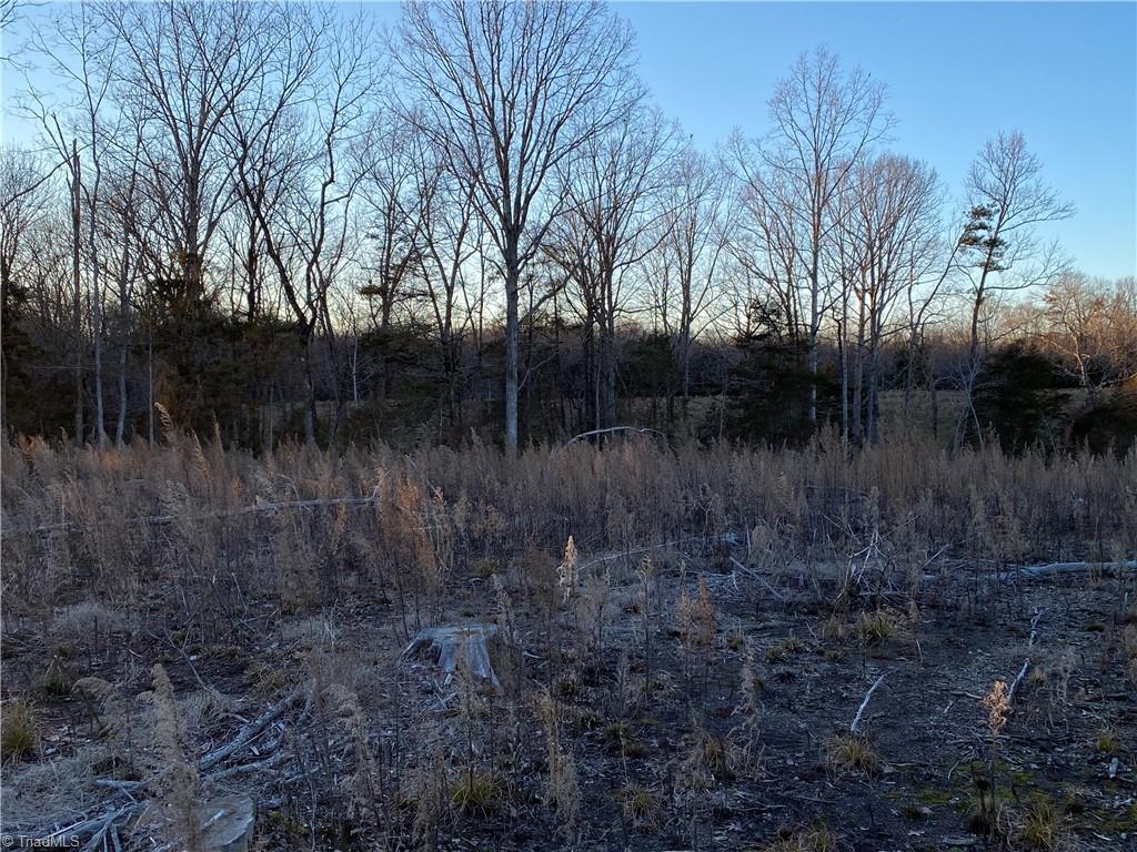 0 Trinity Church Road Seagrove, NC 27341 - Photo 19 of 20