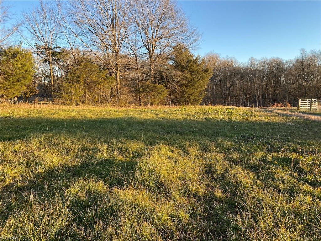 0 Trinity Church Road Seagrove, NC 27341 - Photo 3 of 20
