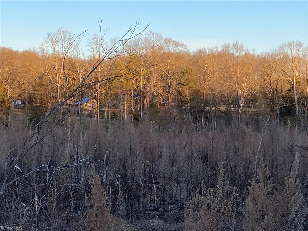 0 Trinity Church Road Seagrove, NC 27341 - Photo 5 of 20