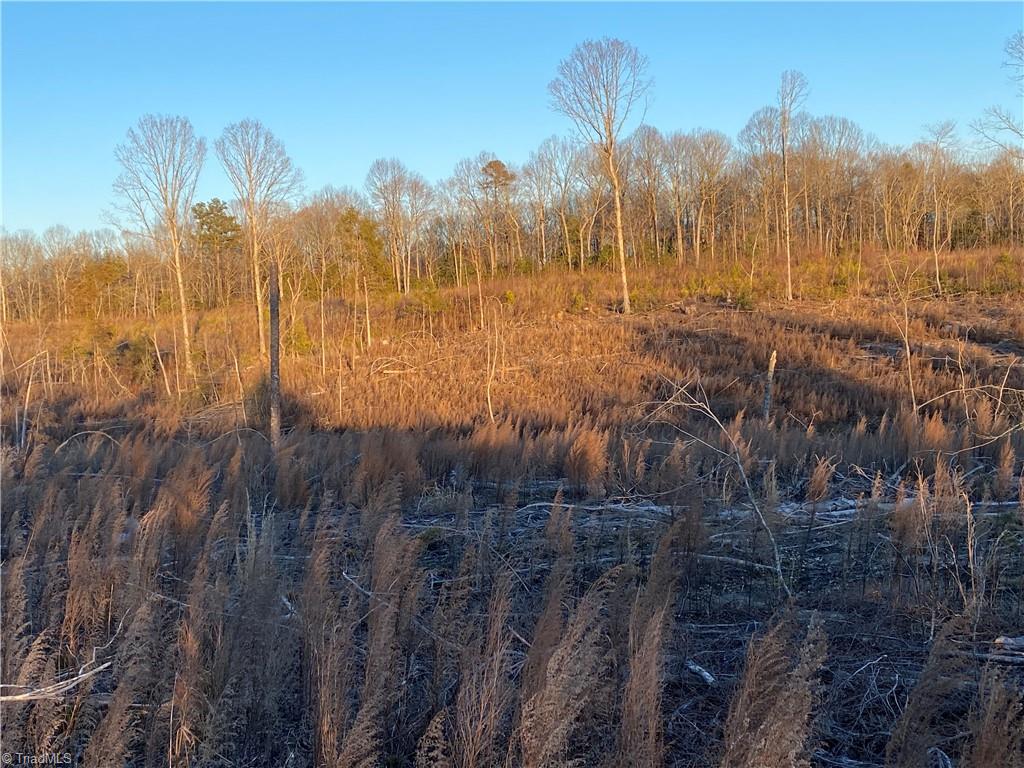 0 Trinity Church Road Seagrove, NC 27341 - Photo 10 of 20