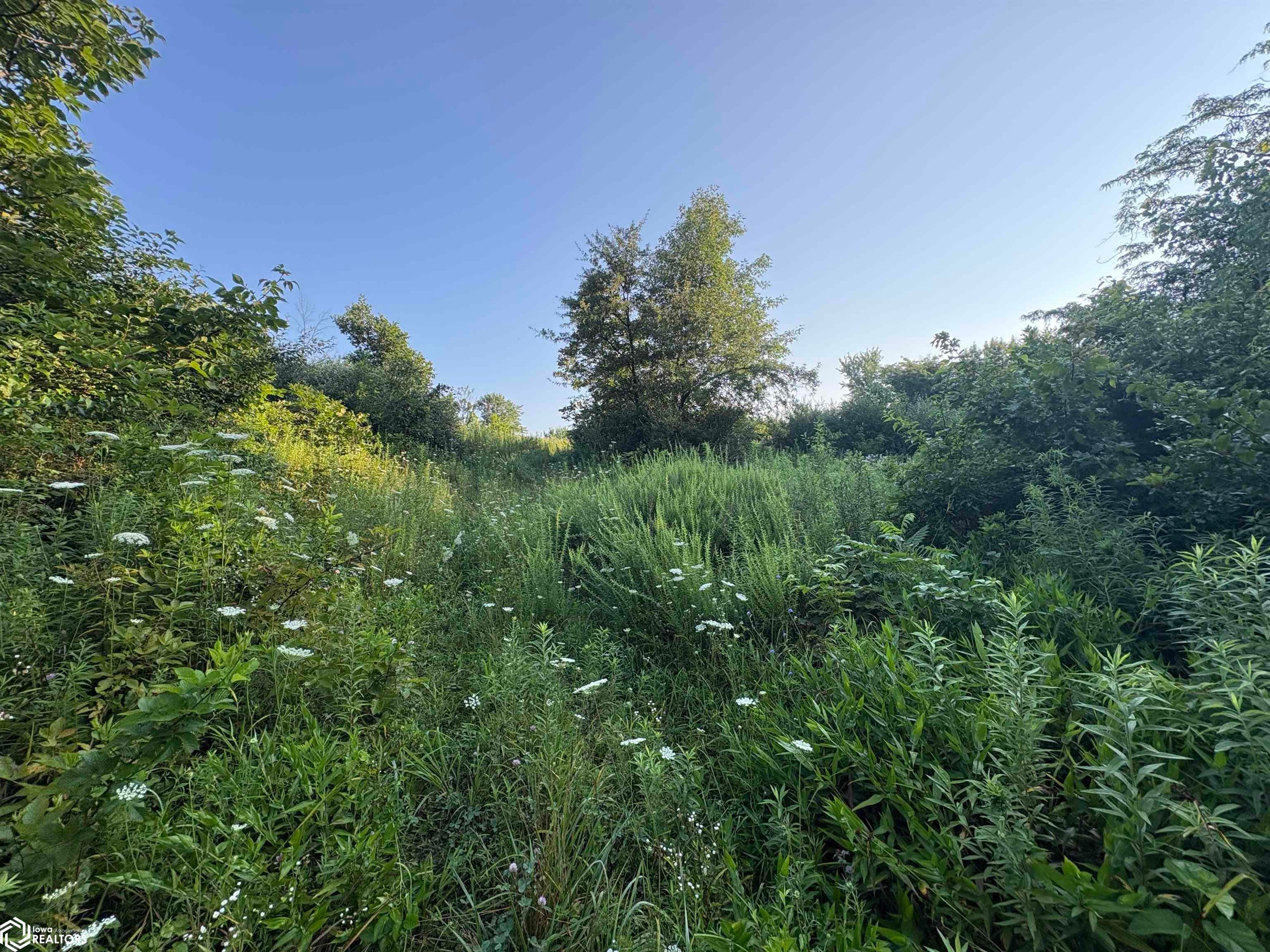200th Street Fort Madison, IA 52627 - Photo 4 of 25 Gallery Image 4