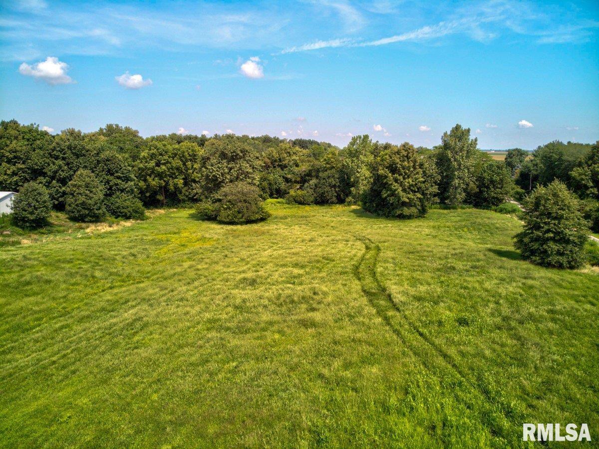 Boyds Farm Road Rochester, IL 62563 - Photo 14 of 19