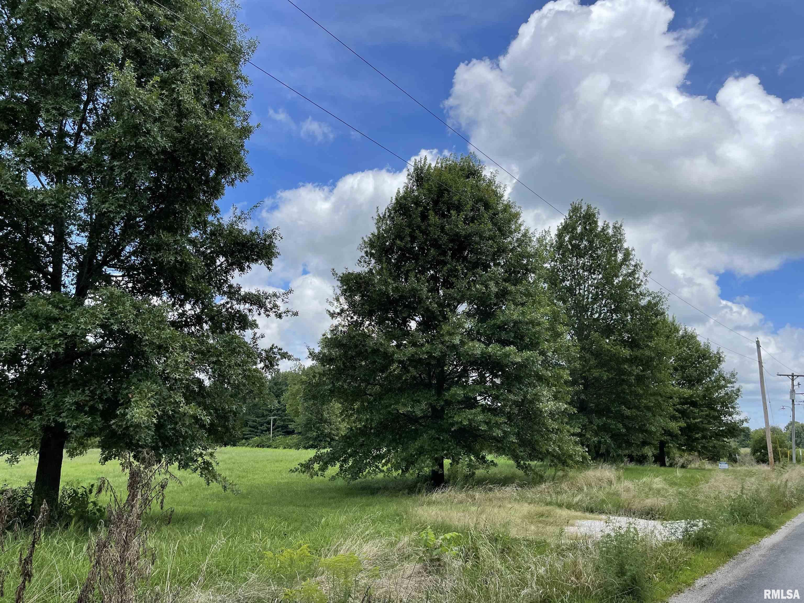 Boyds Farm Road Rochester, IL 62563 - Photo 16 of 19