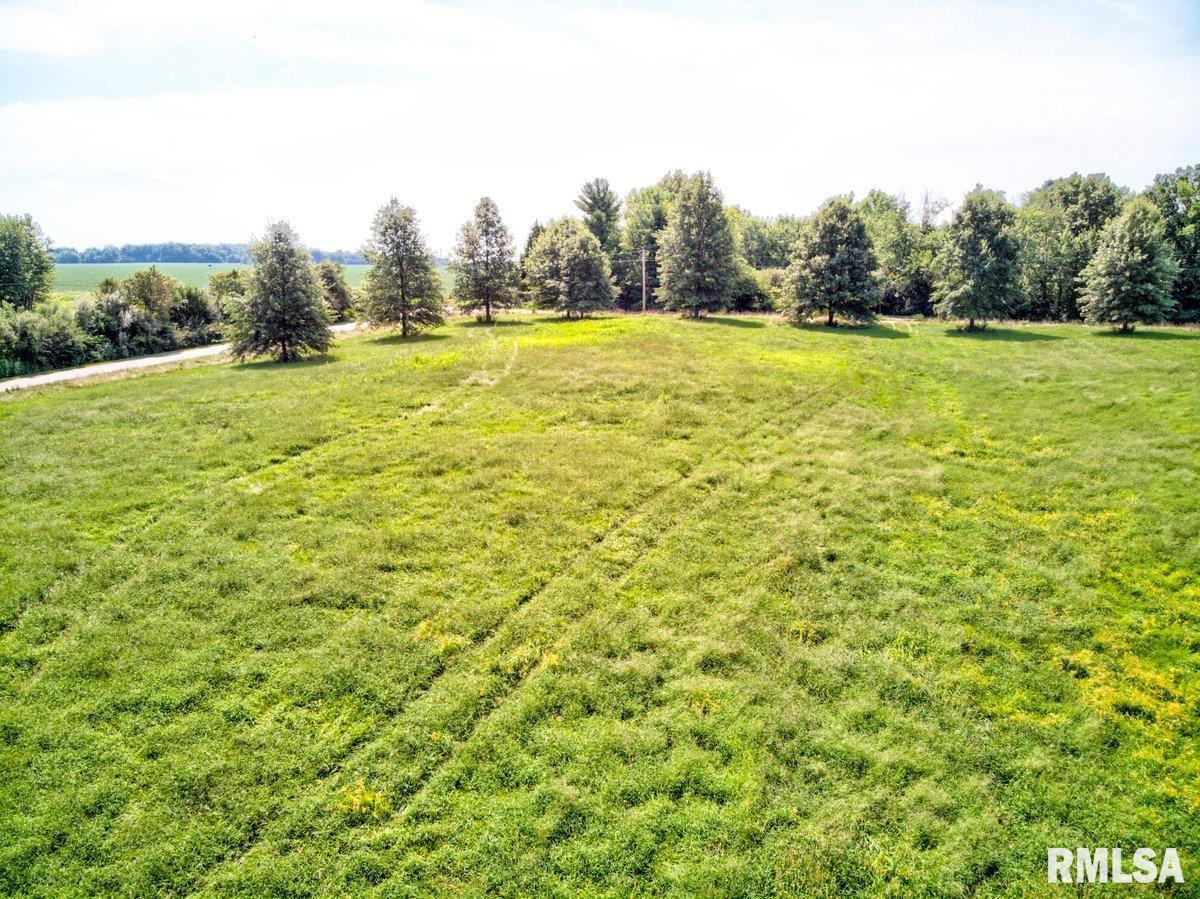 Boyds Farm Road Rochester, IL 62563 - Photo 19 of 19