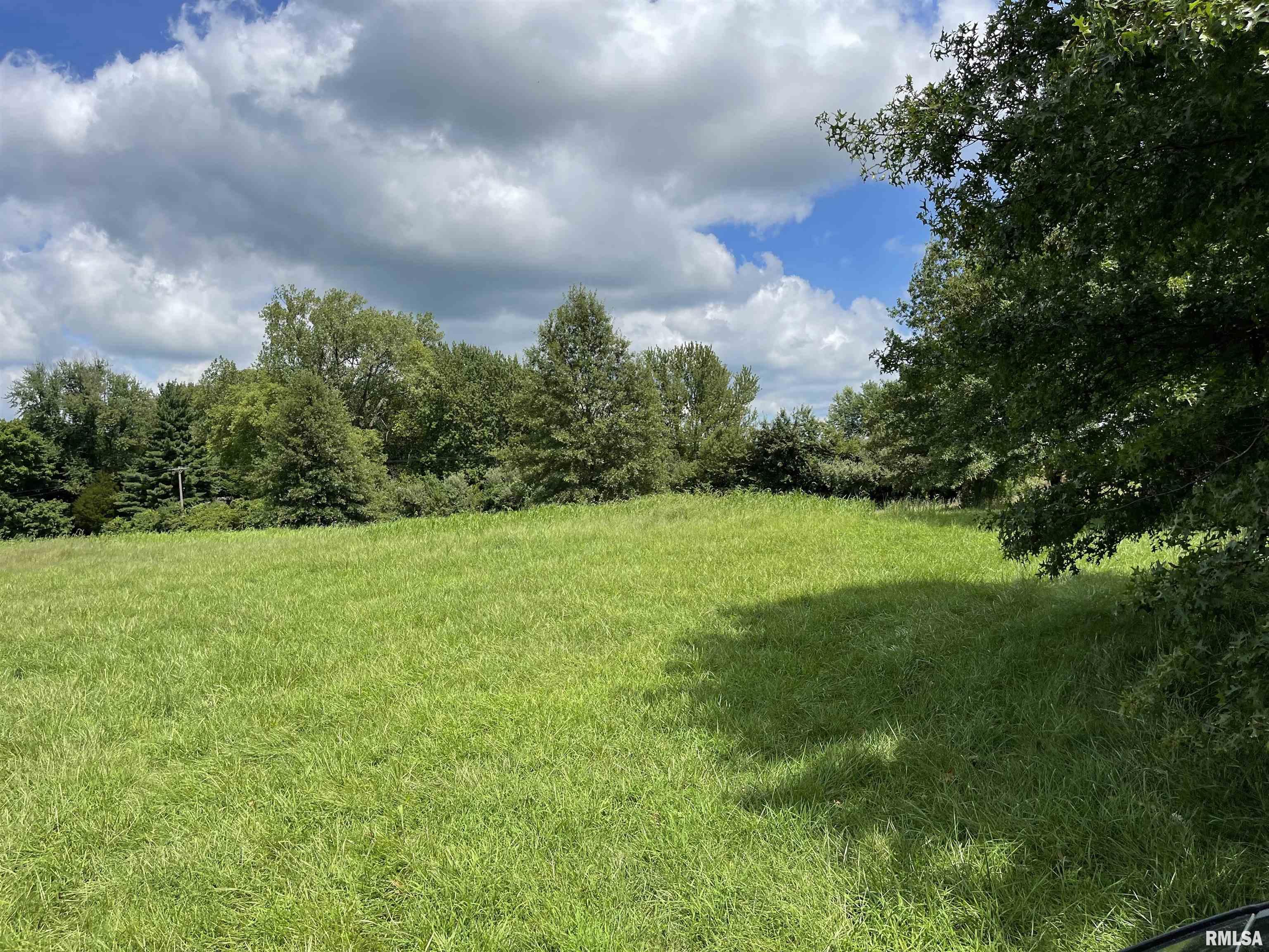 Boyds Farm Road Rochester, IL 62563 - Photo 2 of 19