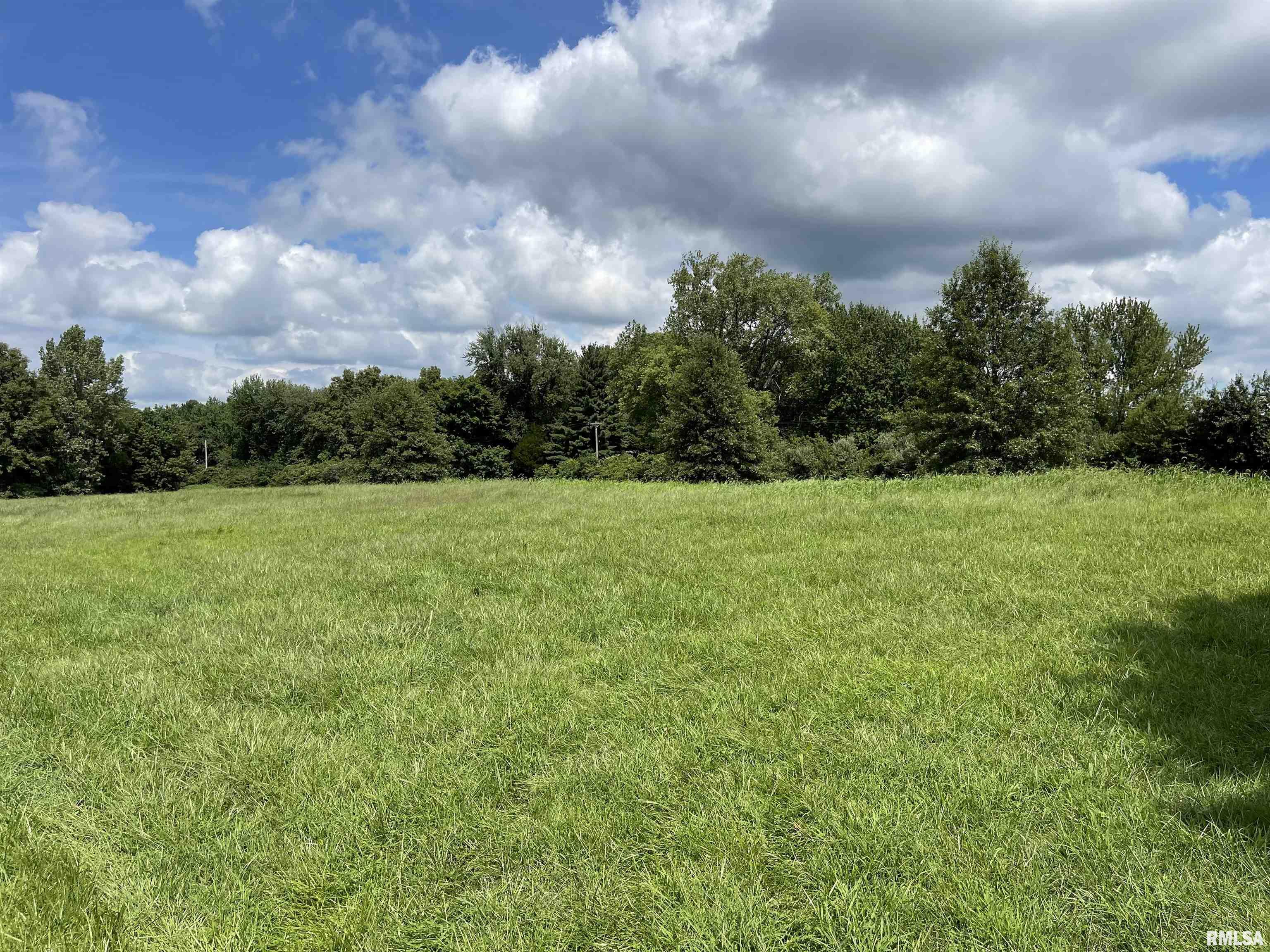 Boyds Farm Road Rochester, IL 62563 - Photo 3 of 19