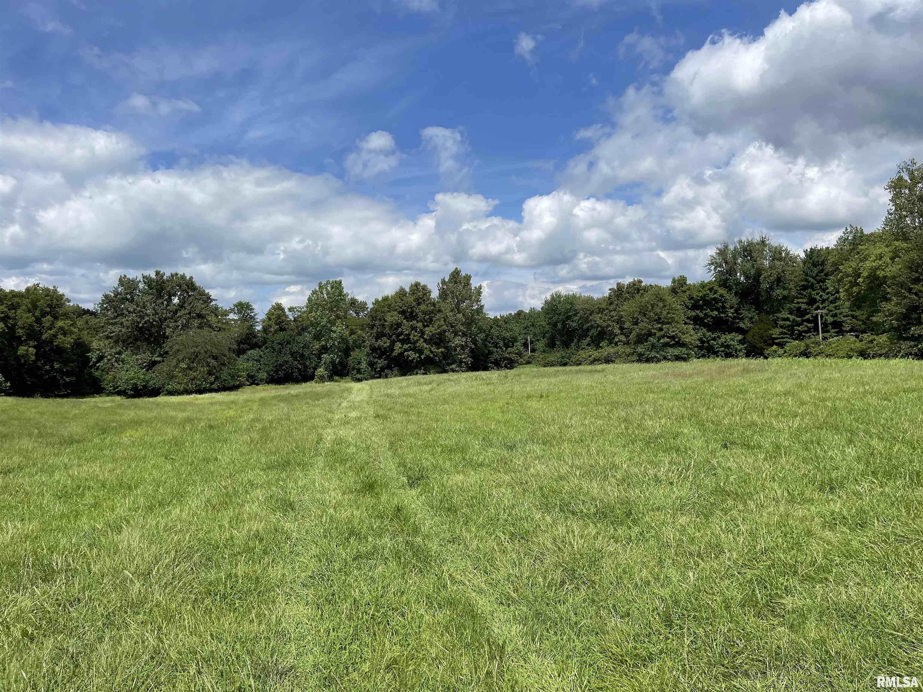 Boyds Farm Road Rochester, IL 62563 - Photo 4 of 19
