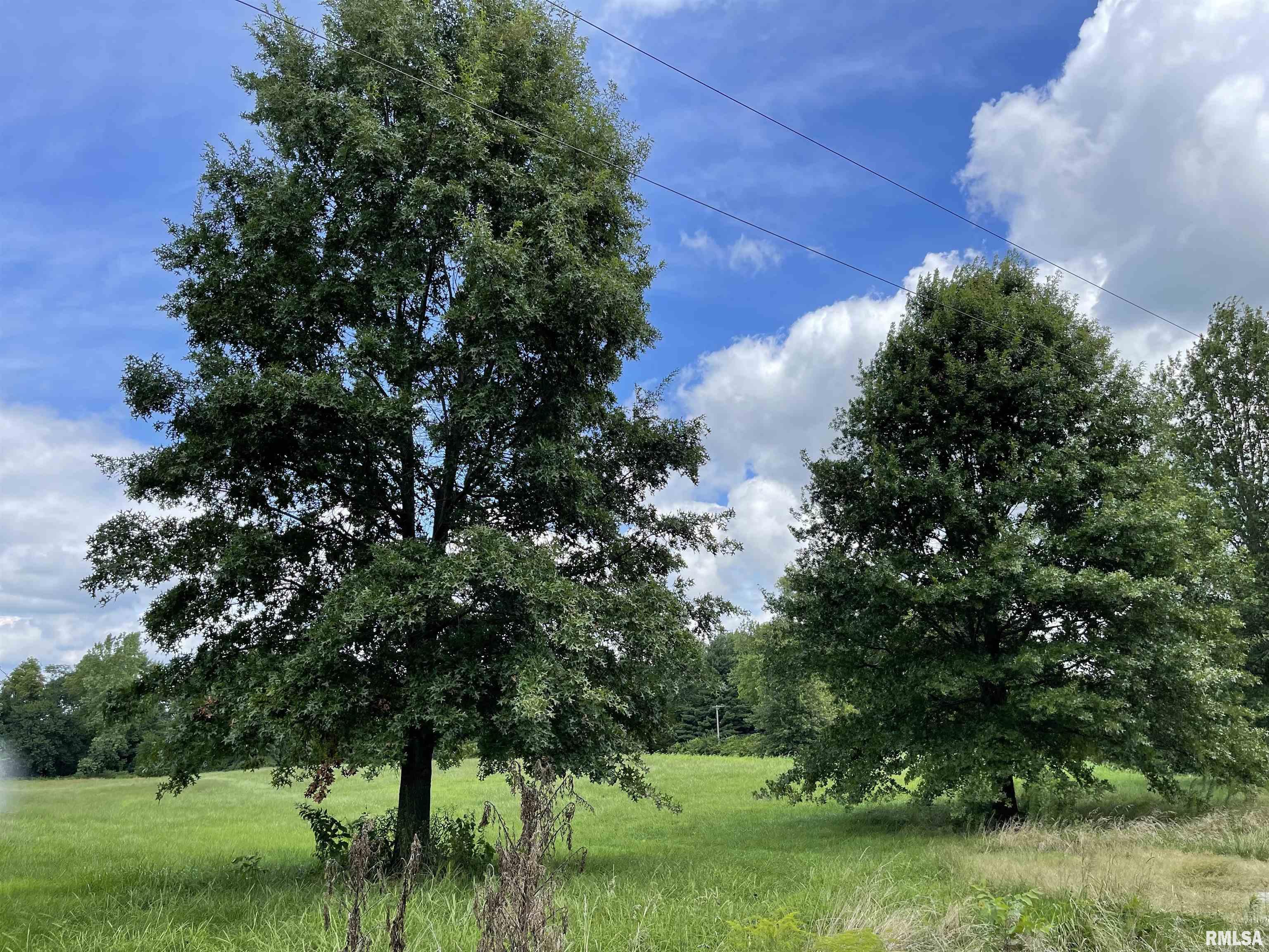Boyds Farm Road Rochester, IL 62563 - Photo 5 of 19