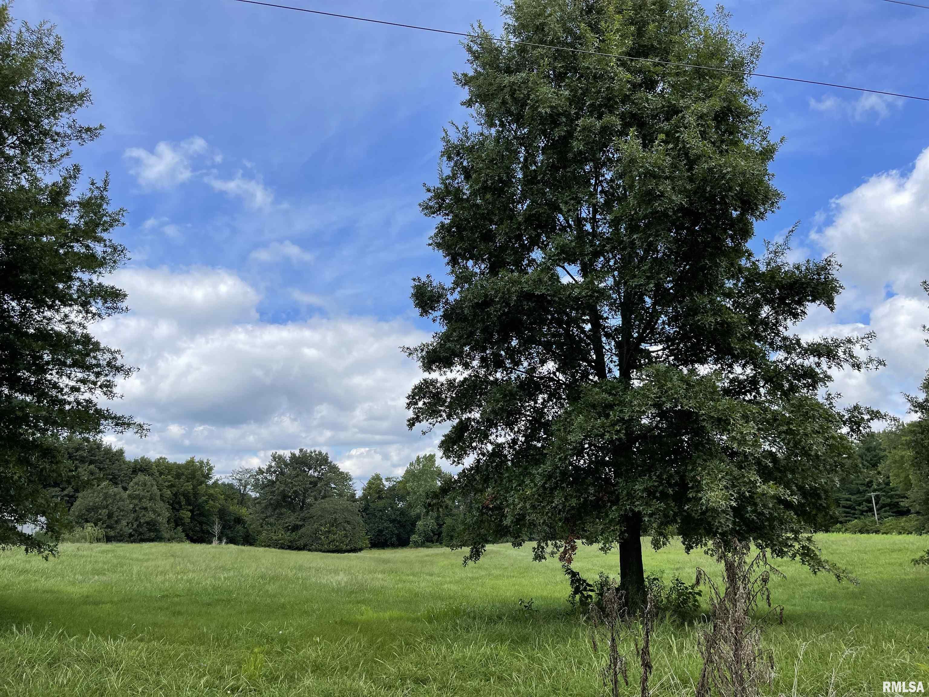 Boyds Farm Road Rochester, IL 62563 - Photo 6 of 19