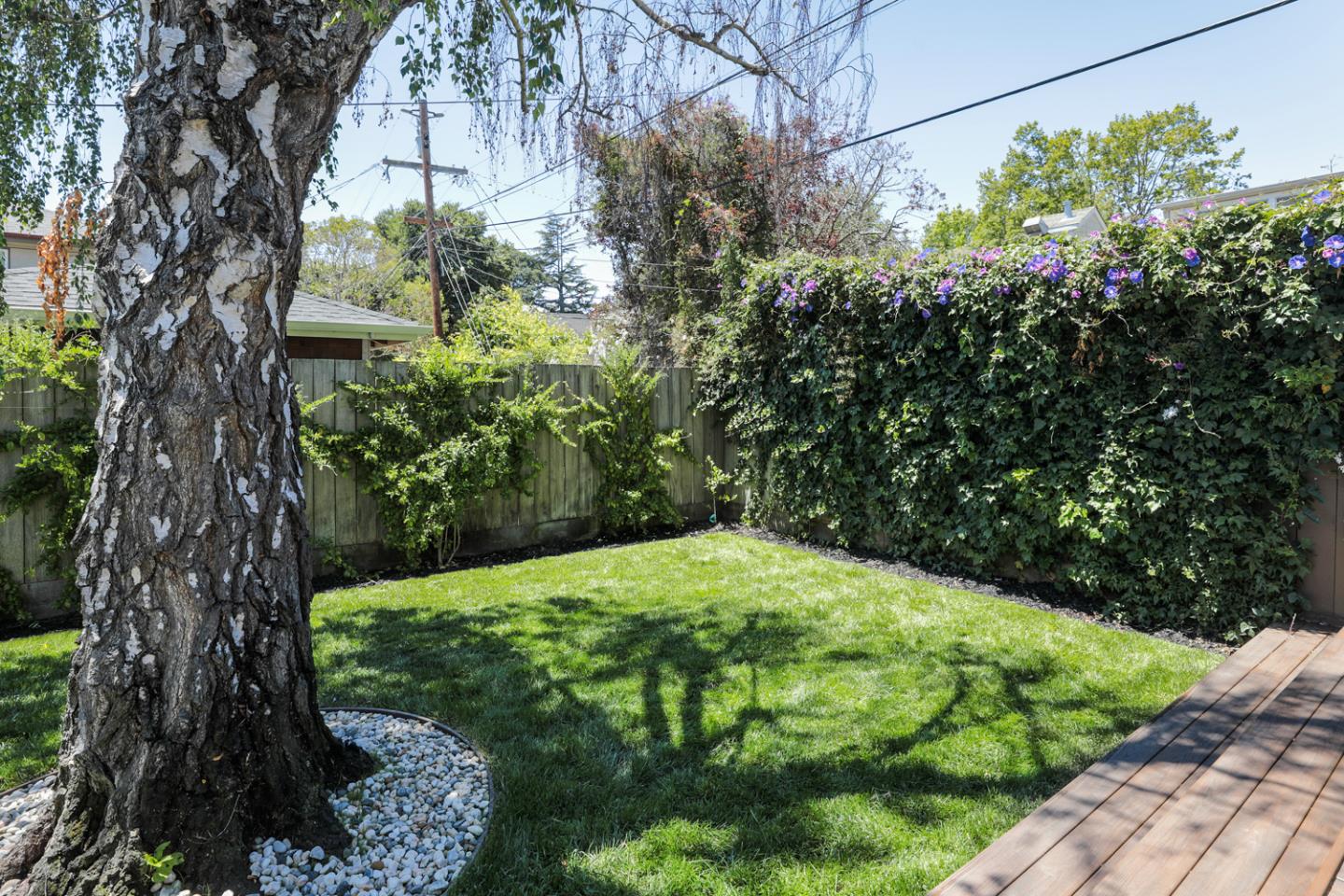 1104 Cambridge Road Burlingame, CA 94010 - Photo 28 of 34 a backyard of a house with lots of green space