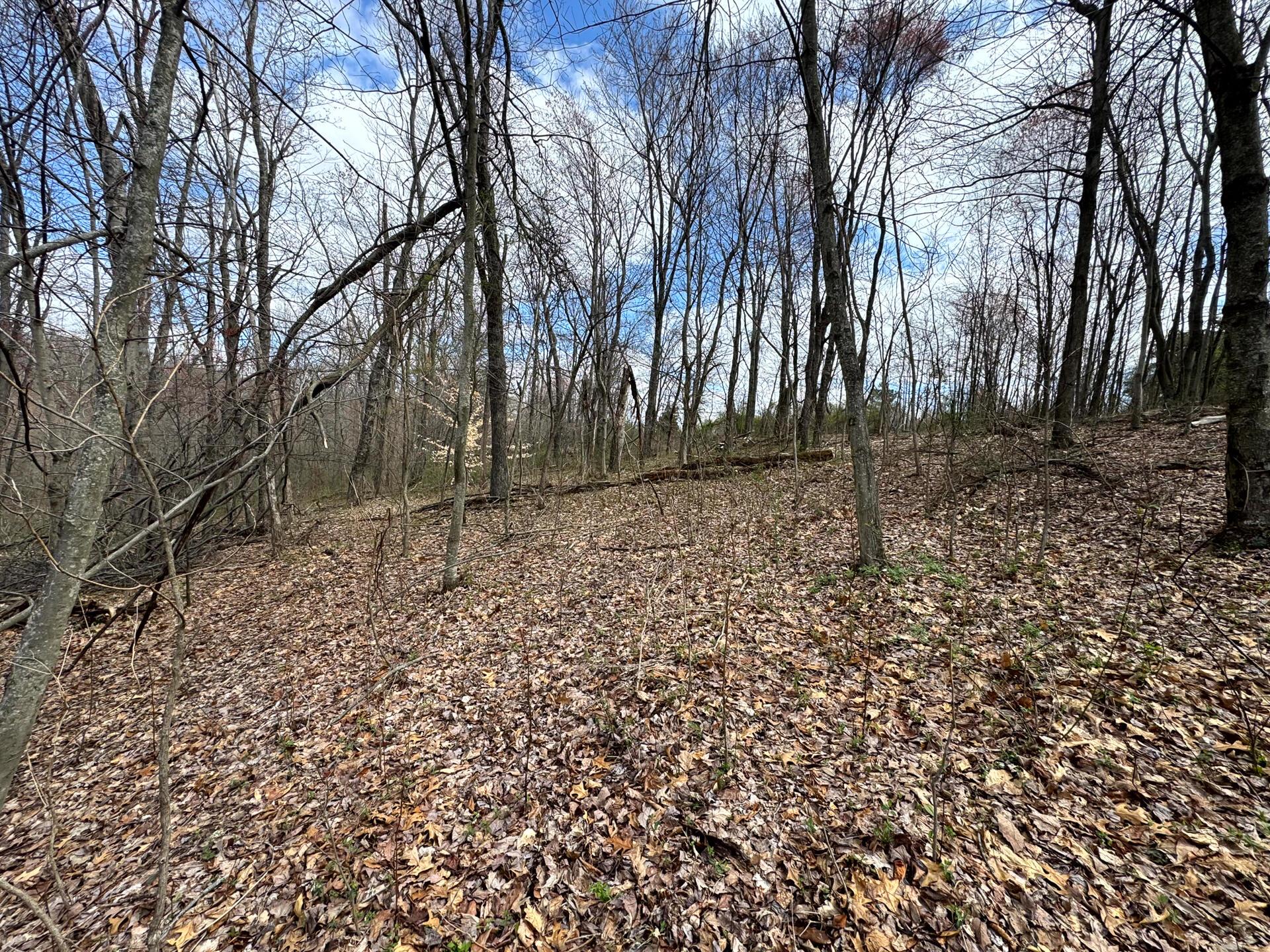 100 Golf Course Road, Unit TRACT 12 SKYLINE ACRES) Waverly, OH 45690 - Photo 33 of 44 CT-33