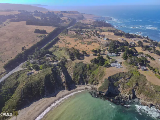 a view of a yard with plants and large trees