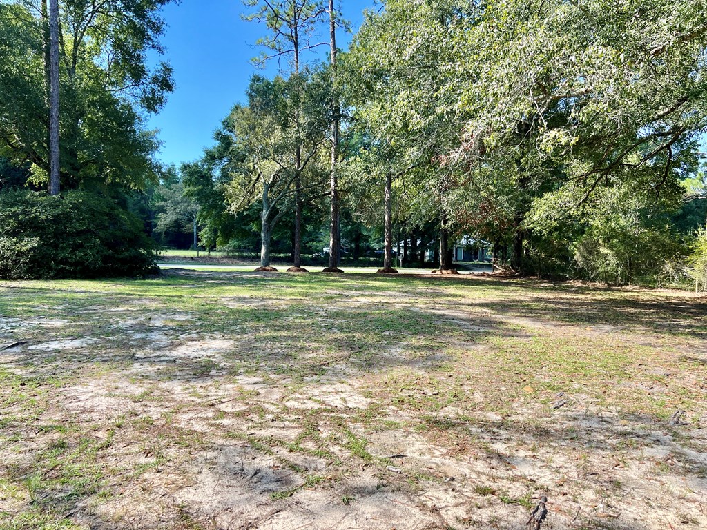 3370 Goat Hill Road Samson, AL 36477 - Photo 47 of 49