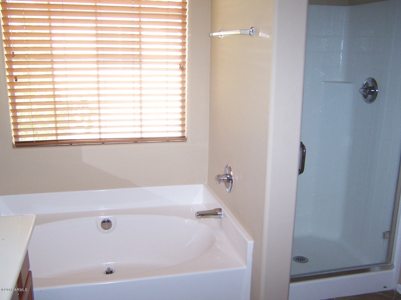 3947 South Rim Road Gilbert, AZ 85297 - Photo 7 of 8 Master Bath