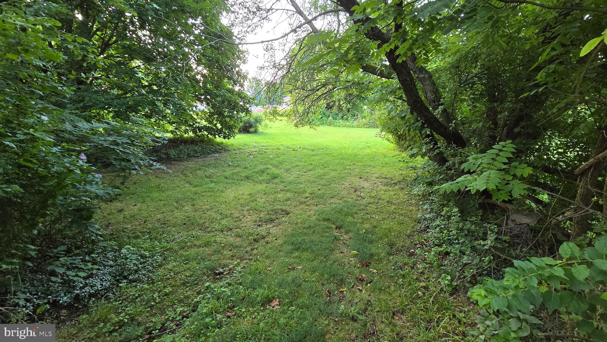 3706 Pricetown Road Fleetwood, PA 19522 - Photo 6 of 15 Back yard