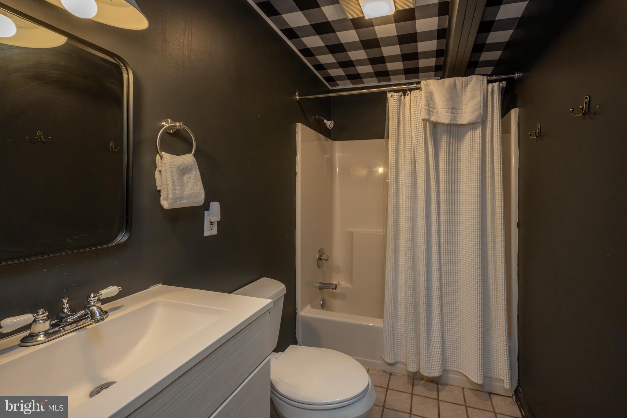 527 Deer Run Lane Swanton, MD 21561 - Photo 39 of 51 a bathroom with a sink toilet and shower